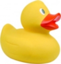Image de la catégorie Badeendjes