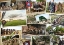 Bild von SALE!!!   Puzzel 1000 stukjes Operation Market garden