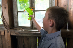 Bild von Terra kids Insectenzuiger HABA