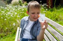 Bild von Terra kids Insectenzuiger HABA