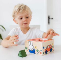 Afbeeldingen van Nijntje Houten Vormenstoof 18 mnd+ Bambolino Toys