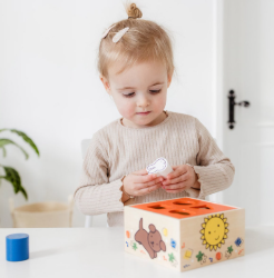 Afbeeldingen van Nijntje Houten Vormenstoof 18 mnd+ Bambolino Toys