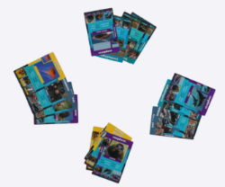 Picture of Een weetjes kwartet Zeeleven 6+