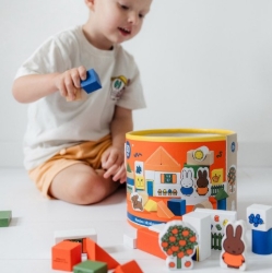 Image de Bambolino Toys Nijntje Blokkenton 50 blokken – vanaf 2 jaar