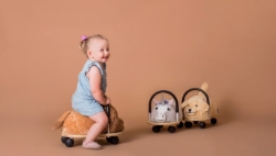 Afbeeldingen van Wheelybug Hoes Hond Small – loopwagenhoes