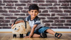 Afbeeldingen van Wheelybug Hoes Hond Small – loopwagenhoes