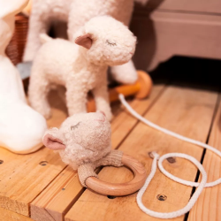 Egmont Toys – Baby Rammelaar & Bijtring - Schaap Mary - Biologisch katoen - Vanaf 0 jr