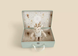 ET-120821 Egmont knuffel Leoni de Giraf in cadeaudoos Duurzaam speelgoed 1