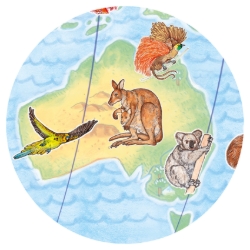 Djeco Dieren van de wereld – ontdekkingspuzzel van 100 stukjes – vanaf 5 jaar