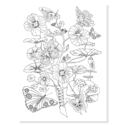 Colouring Gallery - kleurposterset - van 8 tot 99 jaar